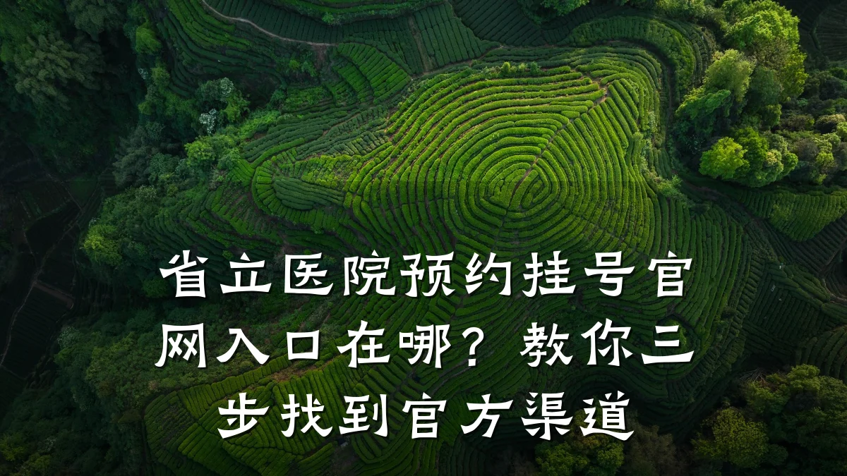 省立医院预约挂号官网入口在哪？教你三步找到官方渠道