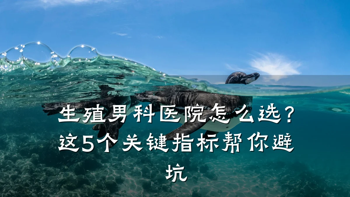 生殖男科医院怎么选?这5个关键指标帮你避坑