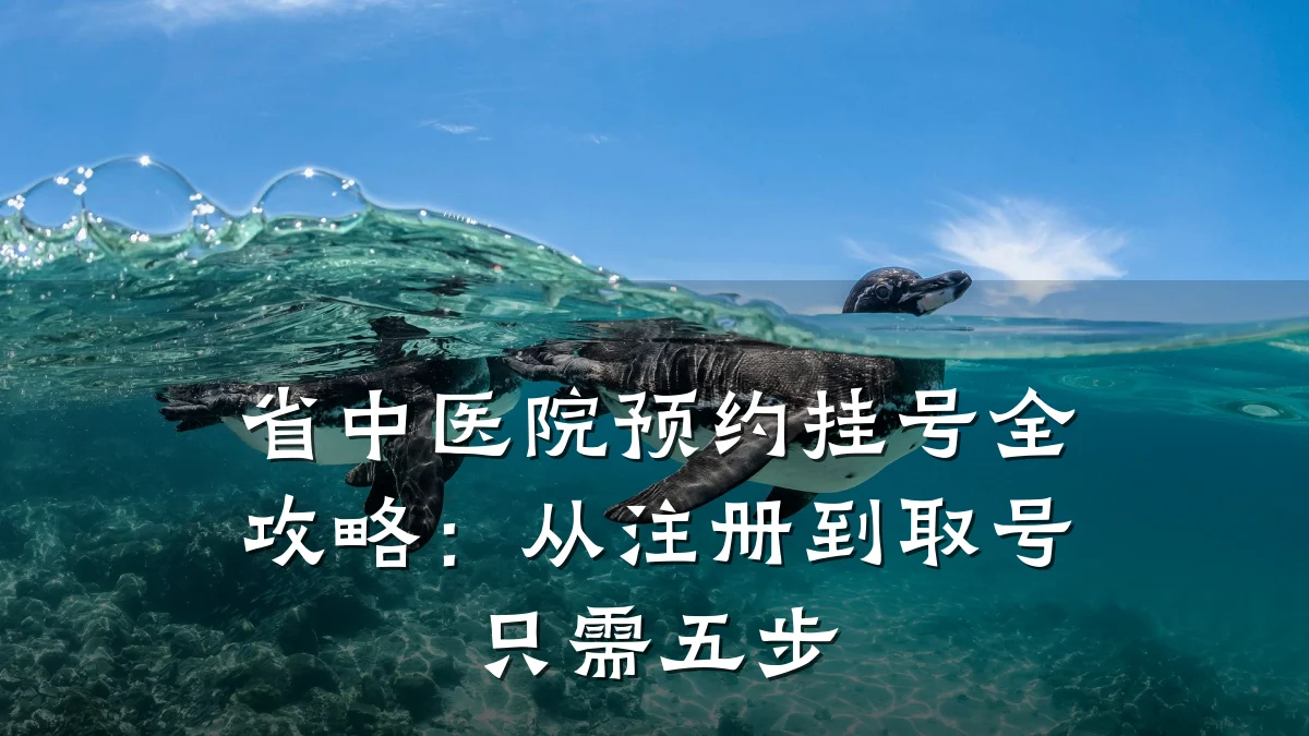 省中医院预约挂号全攻略:从注册到取号只需五步