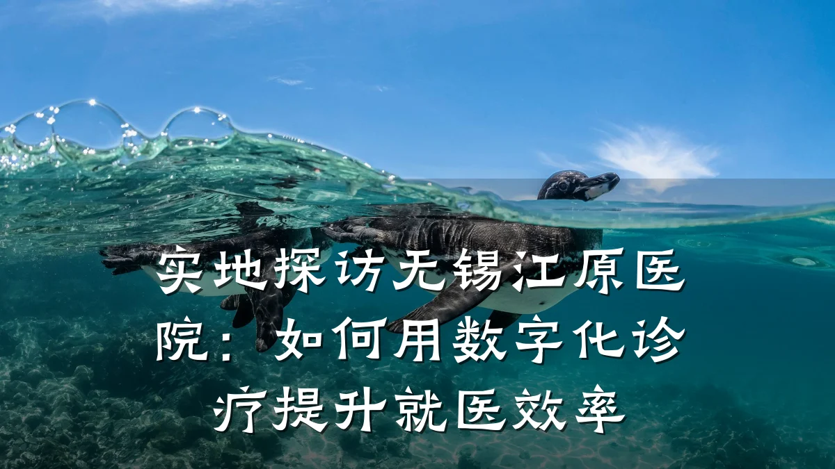 实地探访无锡江原医院:如何用数字化诊疗提升就医效率
