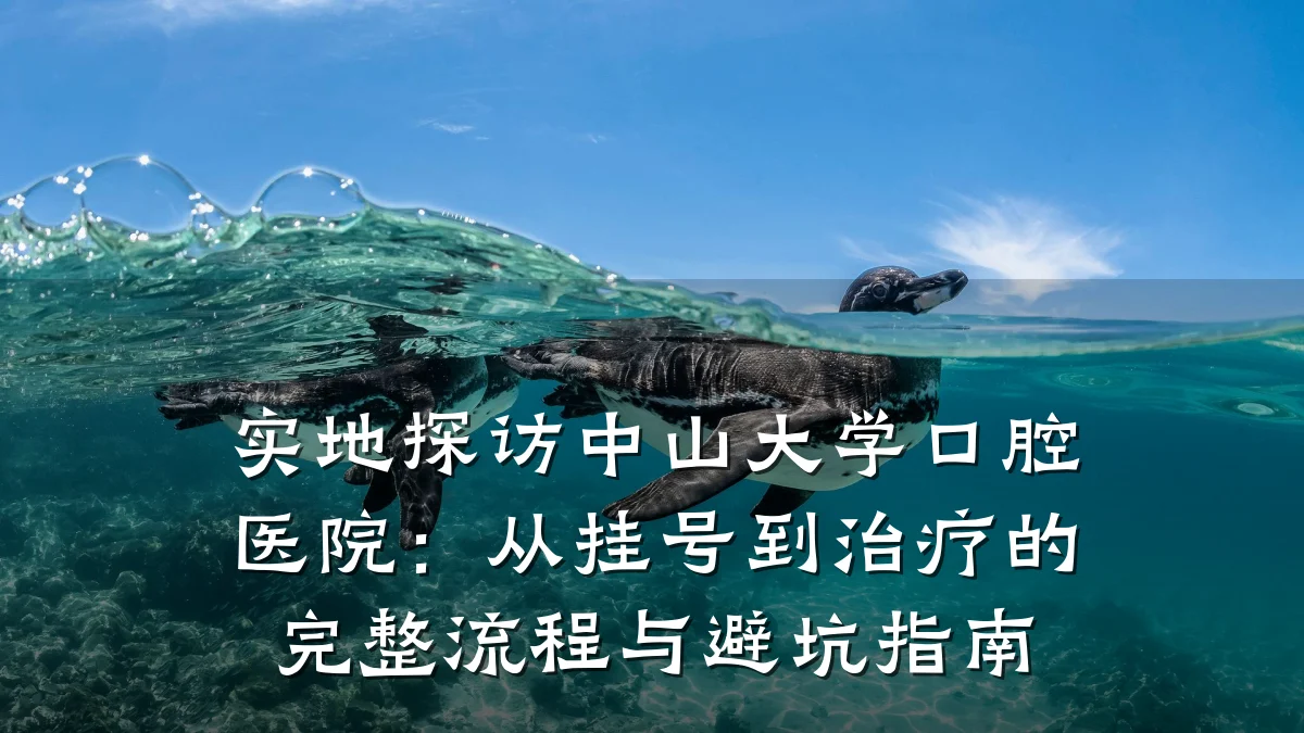 实地探访中山大学口腔医院:从挂号到治疗的完整流程与避坑指南