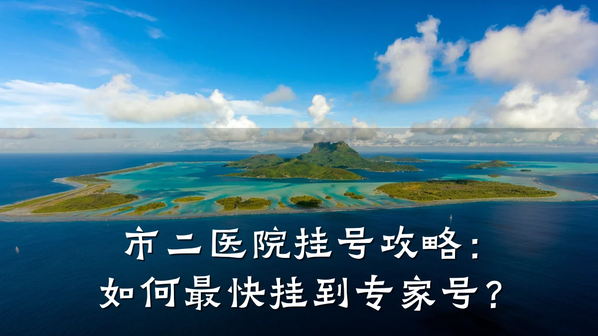 市二医院挂号攻略:如何最快挂到专家号?