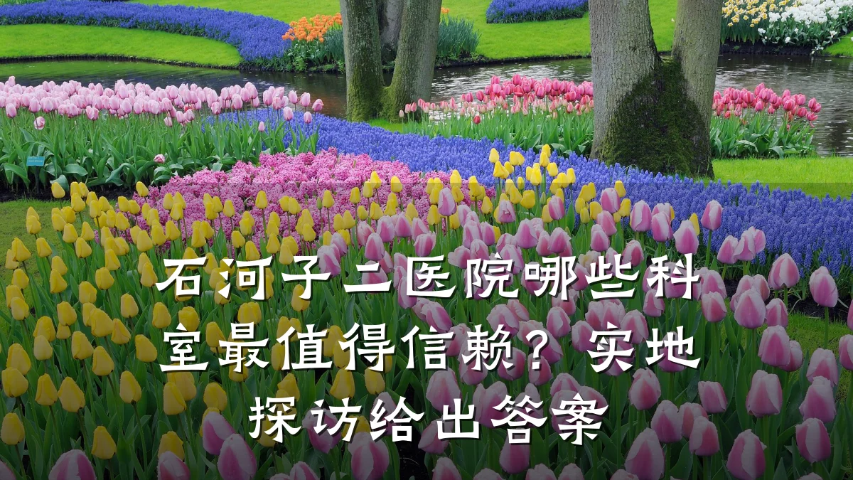 石河子二医院哪些科室最值得信赖?实地探访给出答案