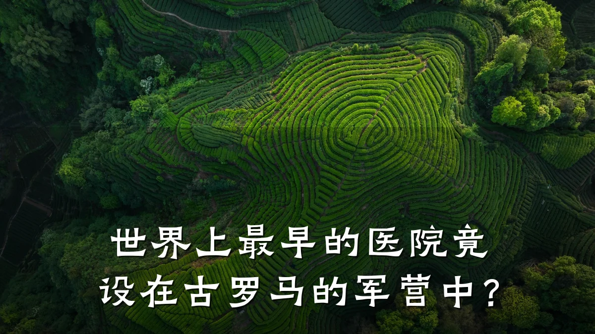 世界上最早的医院竟设在古罗马的军营中?