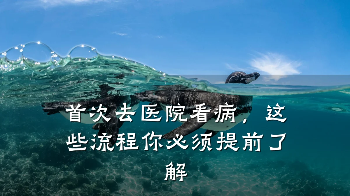 首次去医院看病，这些流程你必须提前了解