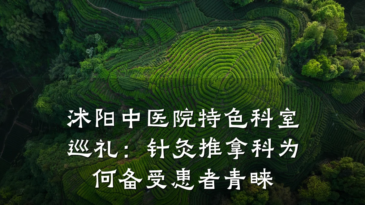 沭阳中医院特色科室巡礼:针灸推拿科为何备受患者青睐