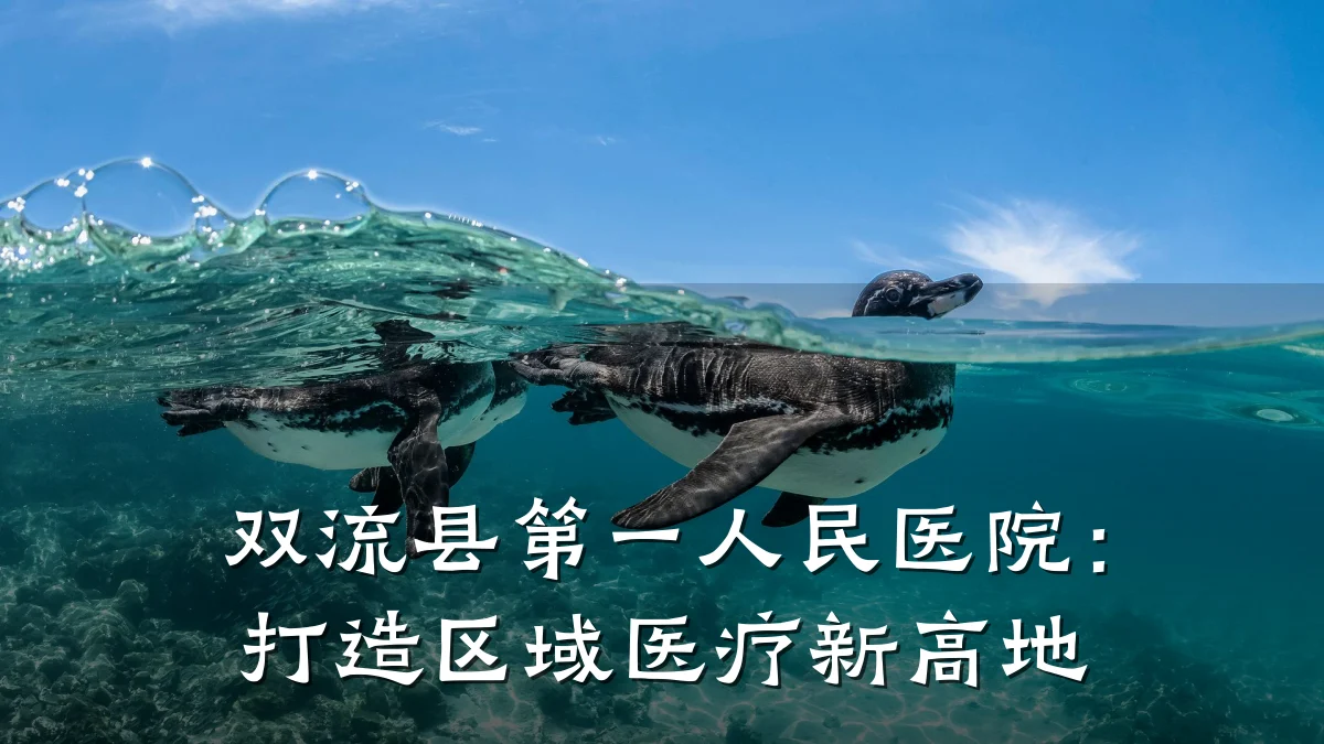 双流县第一人民医院:打造区域医疗新高地