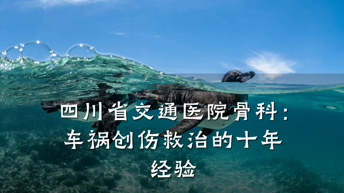 四川省交通医院骨科:车祸创伤救治的十年经验