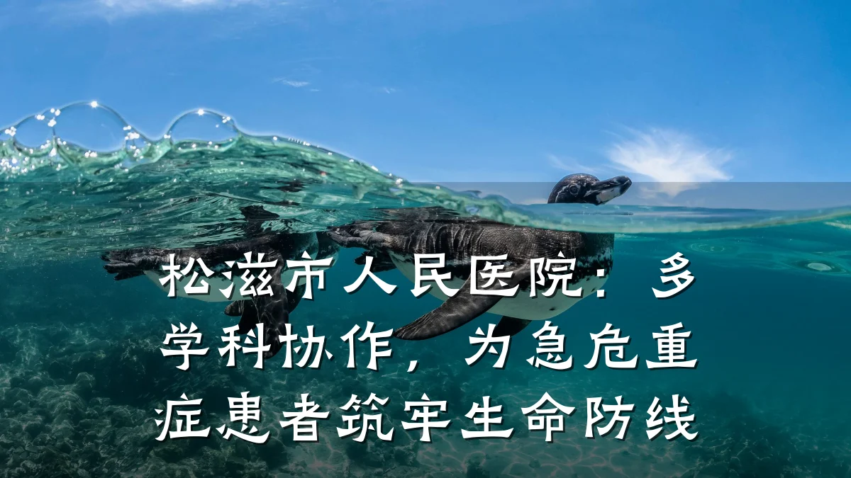 松滋市人民医院:多学科协作,为急危重症患者筑牢生命防线