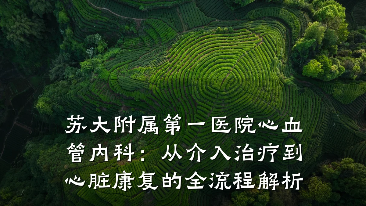 苏大附属第一医院心血管内科：从介入治疗到心脏康复的全流程解析
