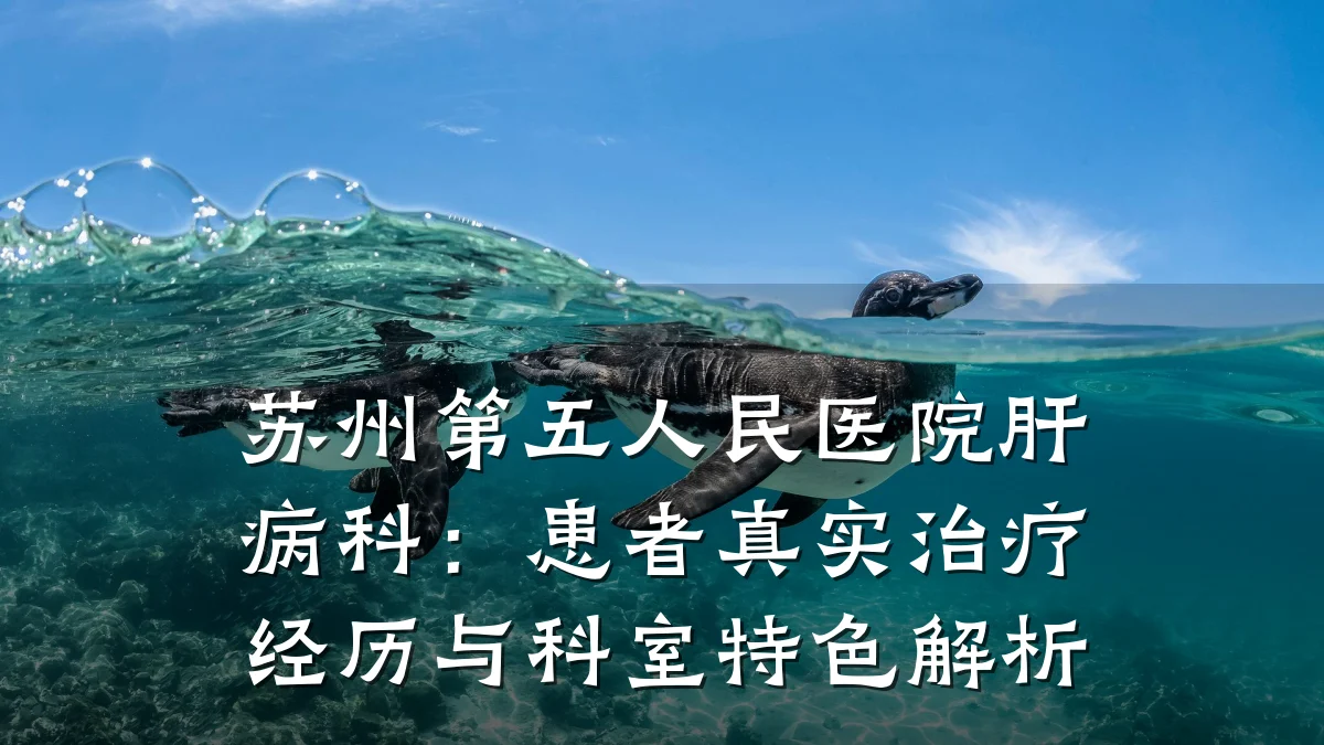 苏州第五人民医院肝病科：患者真实治疗经历与科室特色解析
