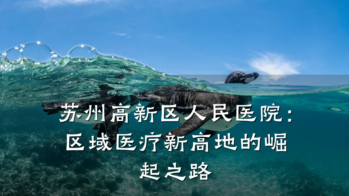 苏州高新区人民医院：区域医疗新高地的崛起之路
