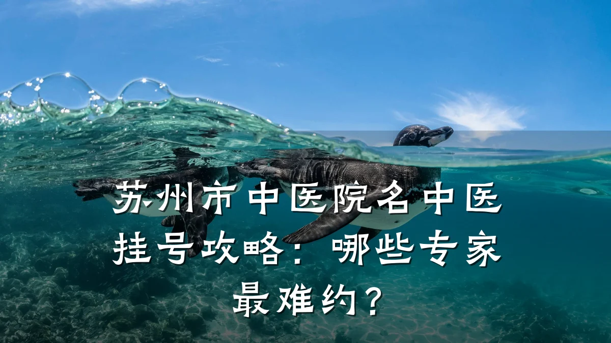 苏州市中医院名中医挂号攻略：哪些专家最难约？