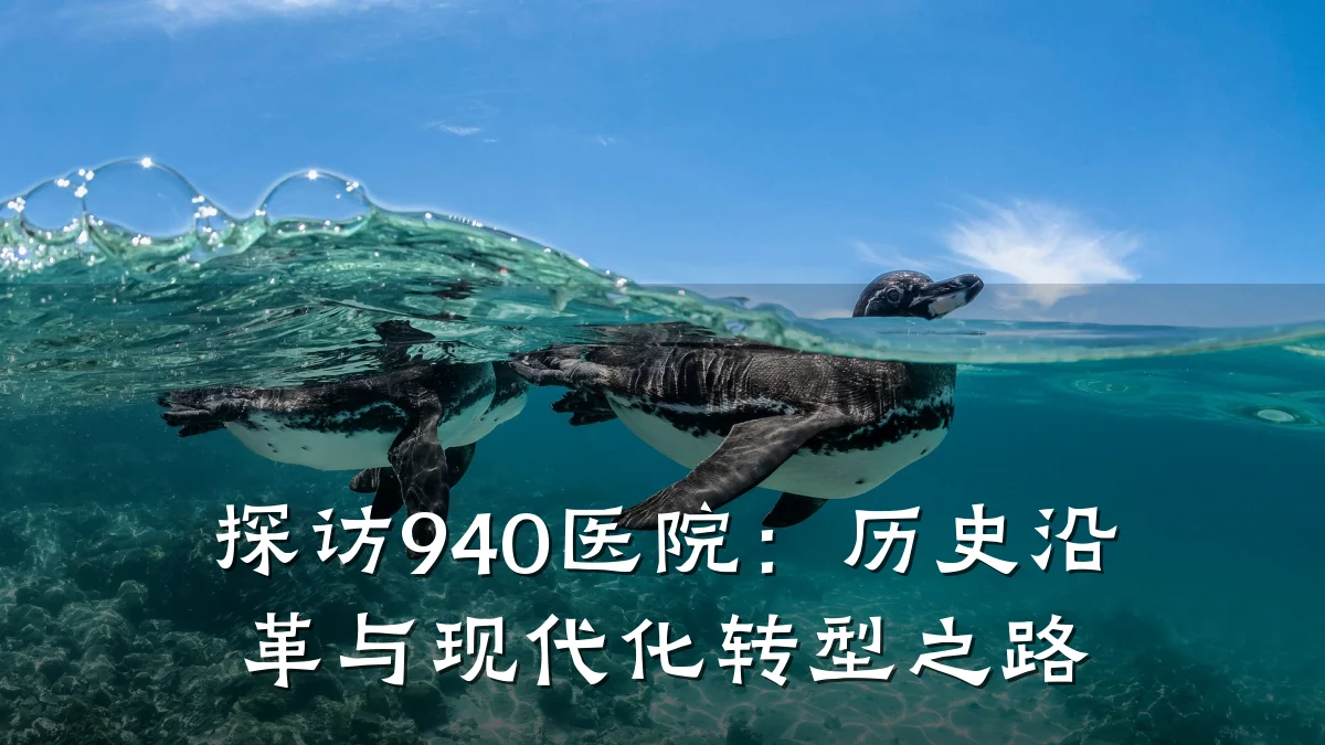 探访940医院:历史沿革与现代化转型之路