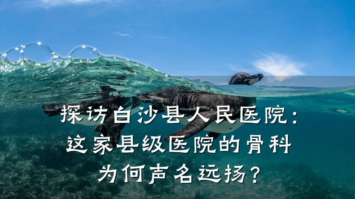探访白沙县人民医院：这家县级医院的骨科为何声名远扬？