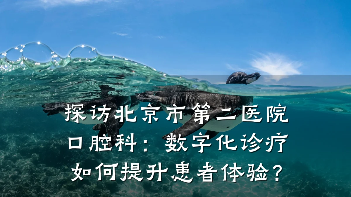 探访北京市第二医院口腔科:数字化诊疗如何提升患者体验?