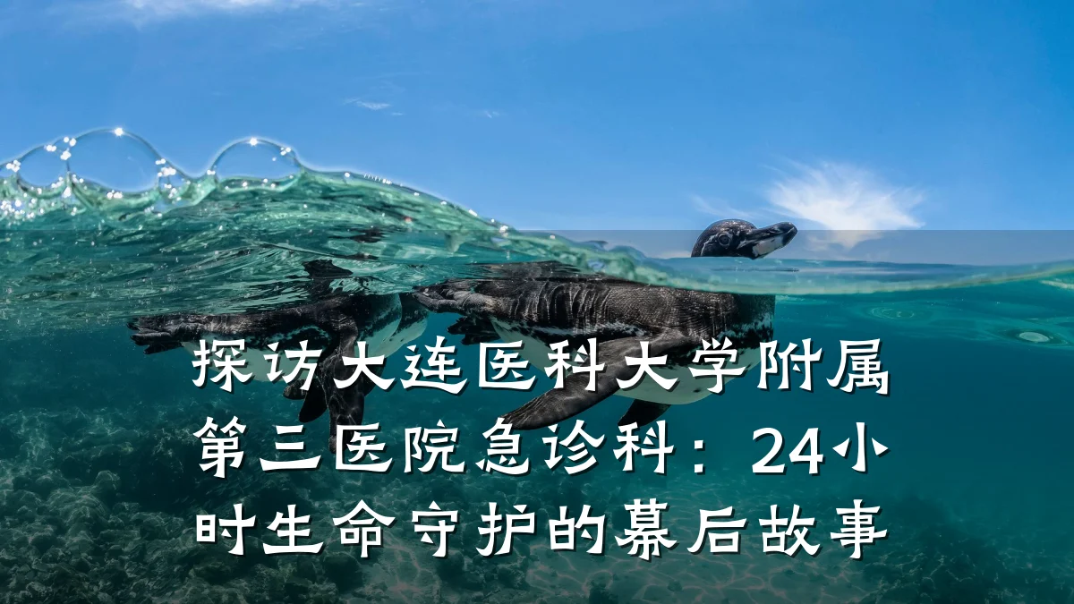 探访大连医科大学附属第三医院急诊科：24小时生命守护的幕后故事