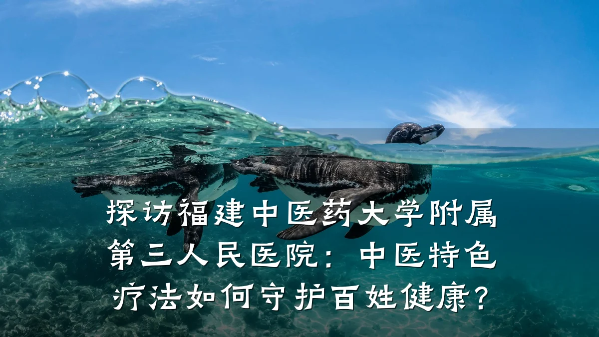探访福建中医药大学附属第三人民医院:中医特色疗法如何守护百姓健康?