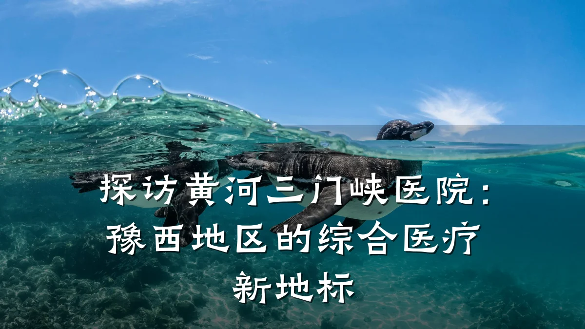 探访黄河三门峡医院:豫西地区的综合医疗新地标