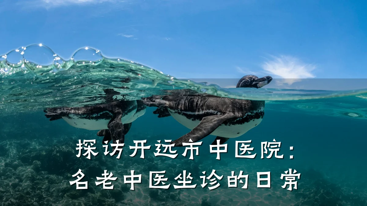 探访开远市中医院:名老中医坐诊的日常