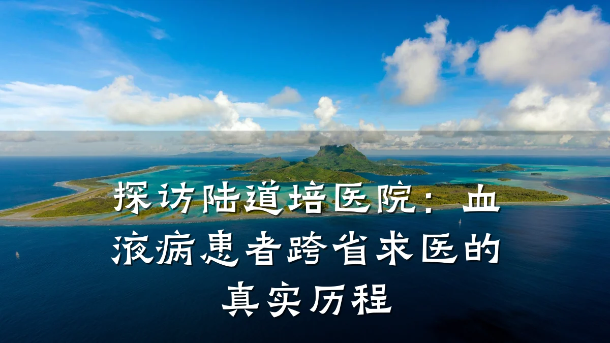 探访陆道培医院:血液病患者跨省求医的真实历程