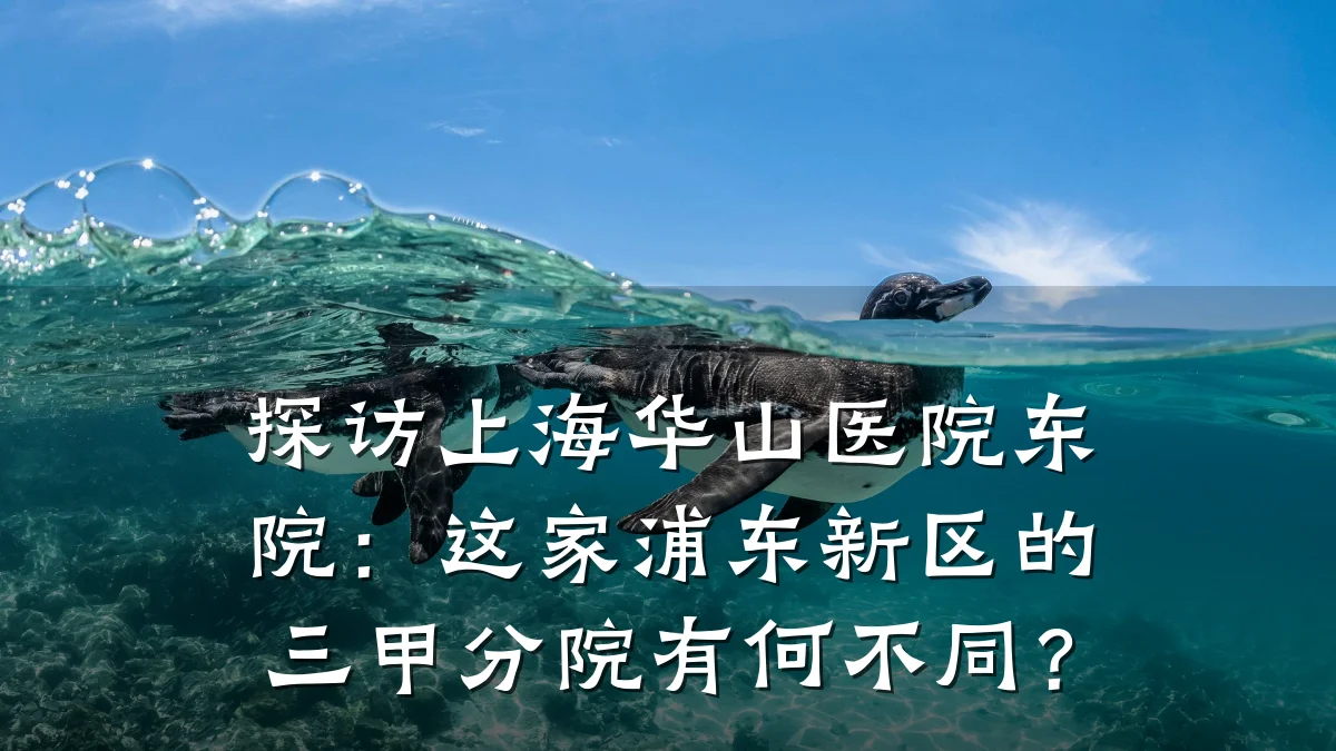 探访上海华山医院东院:这家浦东新区的三甲分院有何不同?