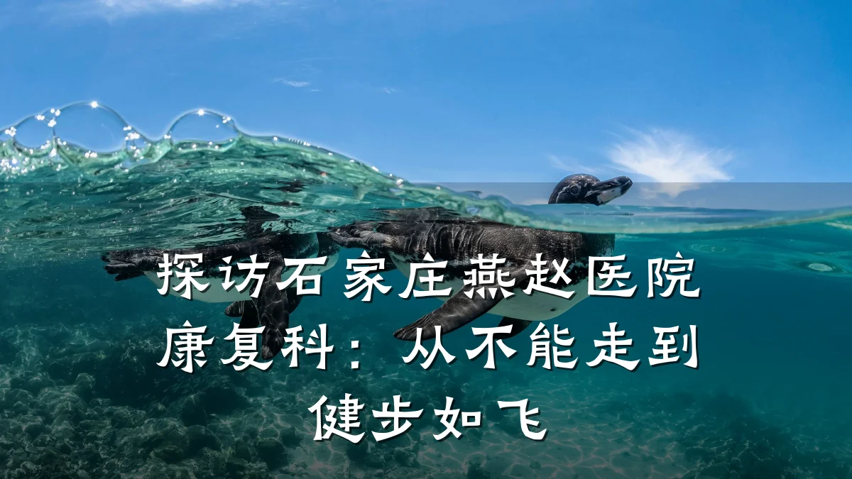 探访石家庄燕赵医院康复科:从不能走到健步如飞