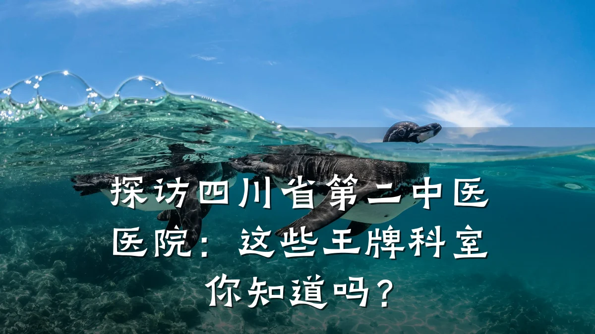 探访四川省第二中医医院:这些王牌科室你知道吗?