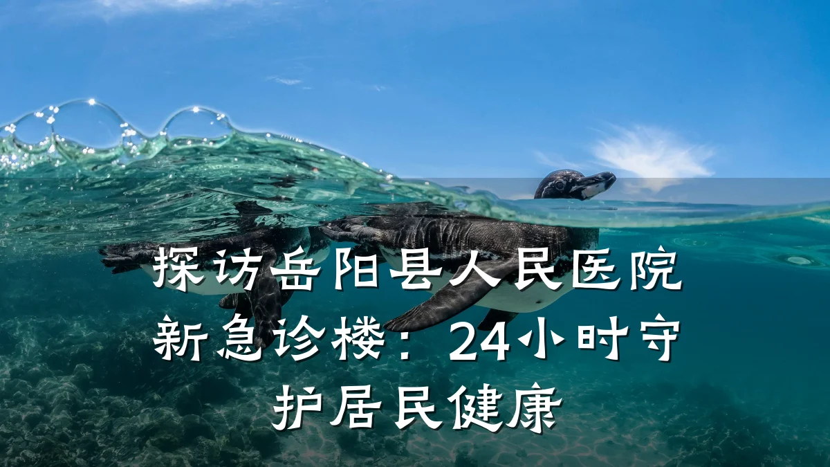 探访岳阳县人民医院新急诊楼:24小时守护居民健康