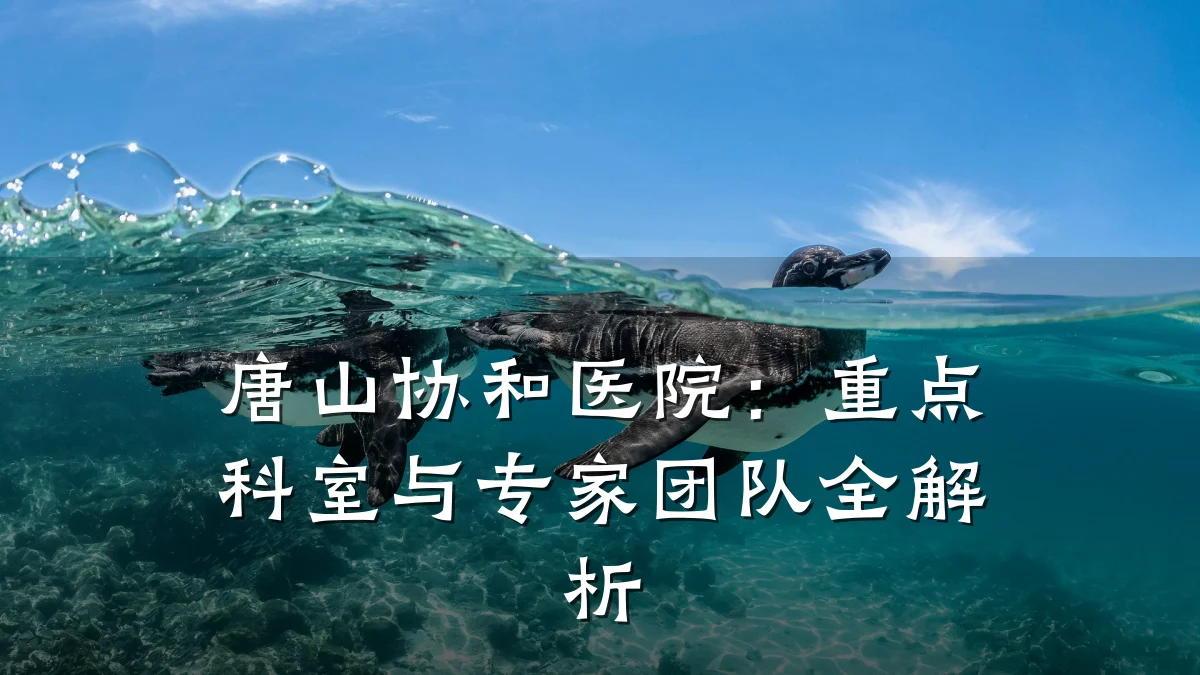 唐山协和医院：重点科室与专家团队全解析