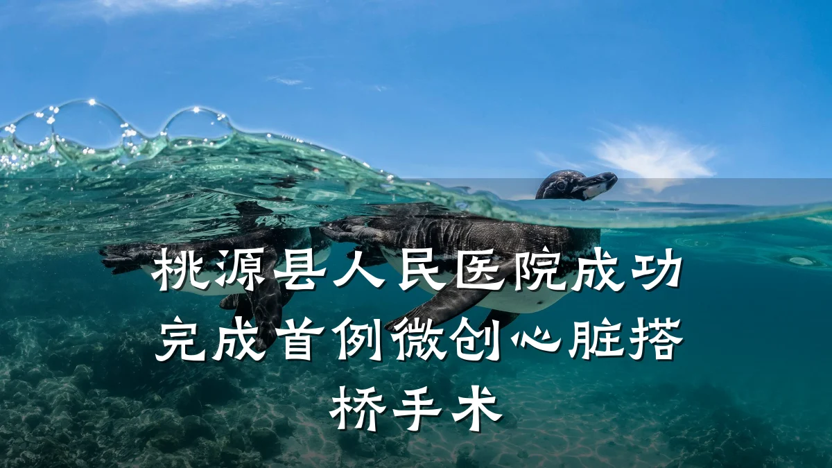 桃源县人民医院成功完成首例微创心脏搭桥手术