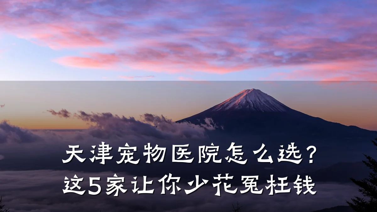 天津宠物医院怎么选?这5家让你少花冤枉钱