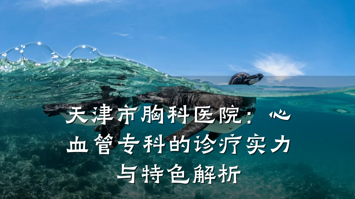 天津市胸科医院：心血管专科的诊疗实力与特色解析