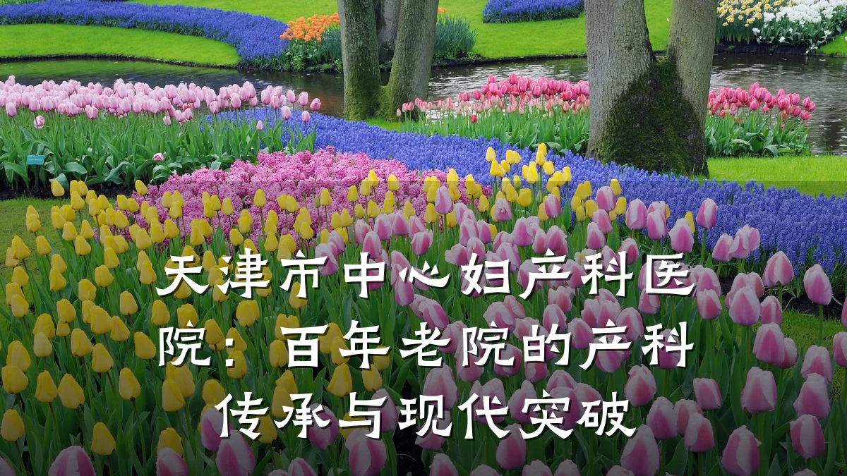 天津市中心妇产科医院：百年老院的产科传承与现代突破