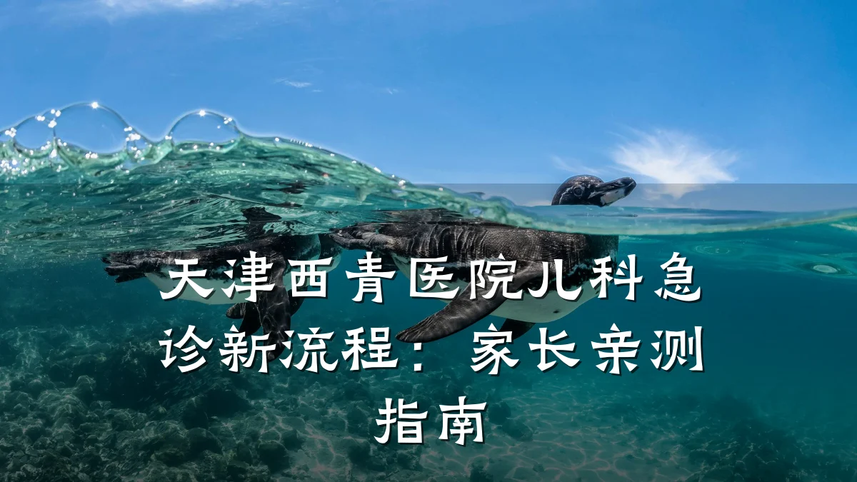 天津西青医院儿科急诊新流程：家长亲测指南