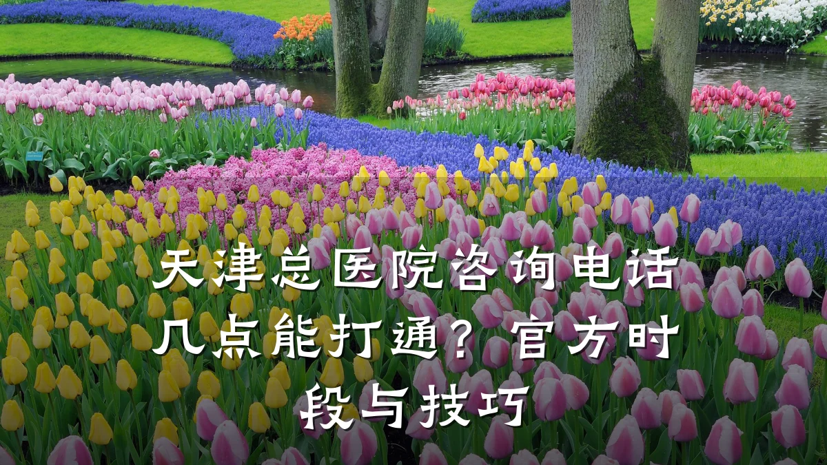 天津总医院咨询电话几点能打通？官方时段与技巧