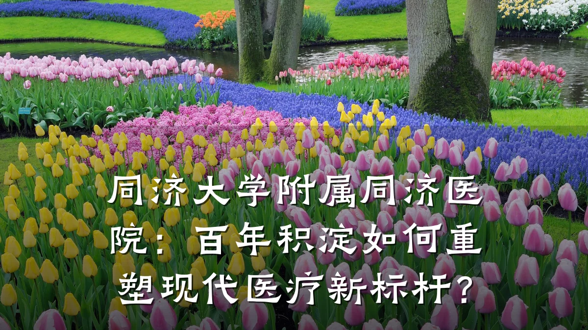 同济大学附属同济医院:百年积淀如何重塑现代医疗新标杆?