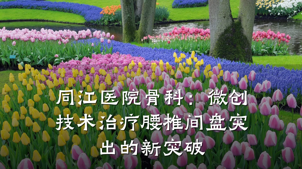 同江医院骨科：微创技术治疗腰椎间盘突出的新突破