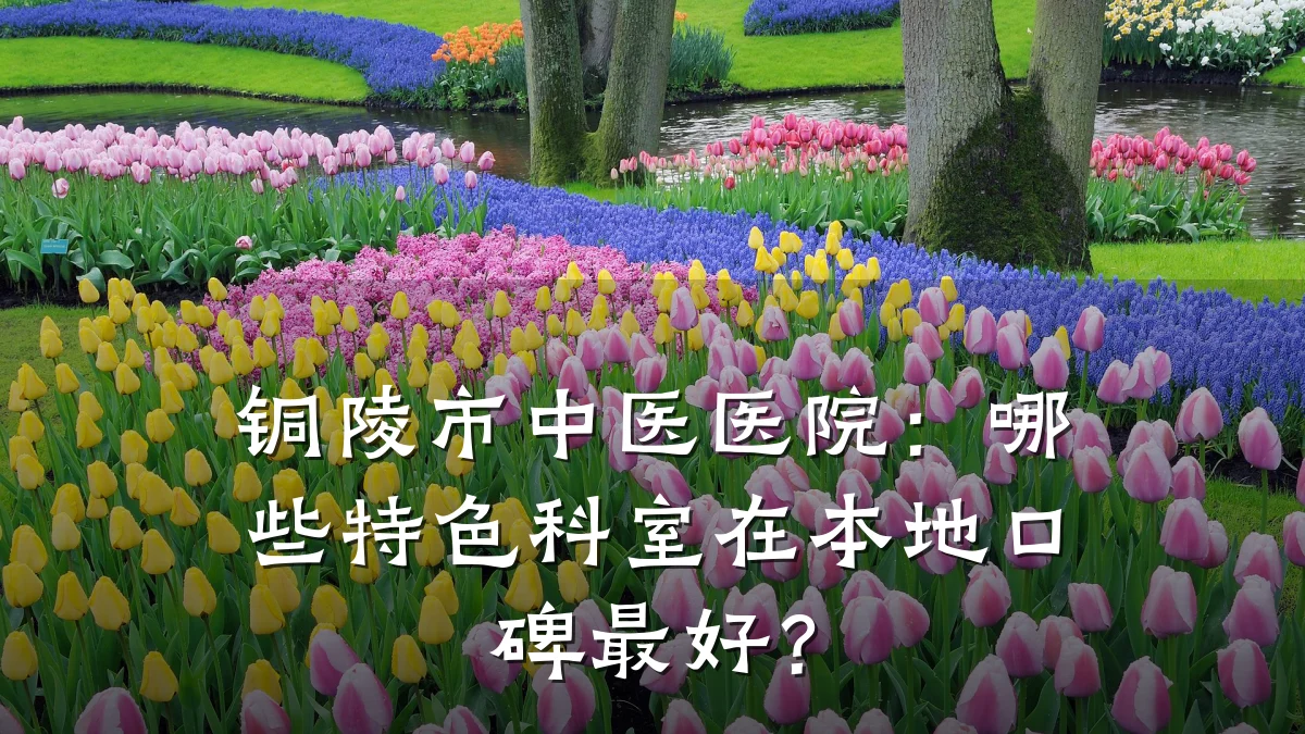 铜陵市中医医院:哪些特色科室在本地口碑最好?