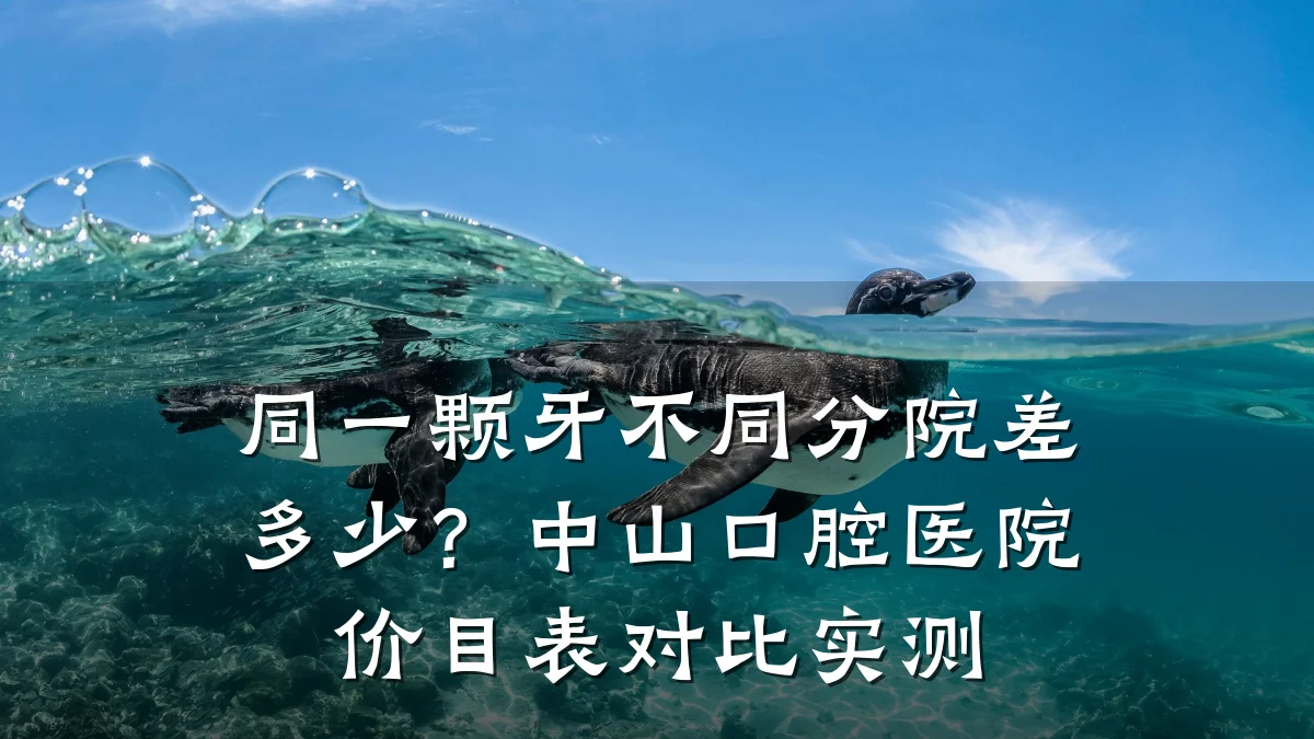 同一颗牙不同分院差多少?中山口腔医院价目表对比实测