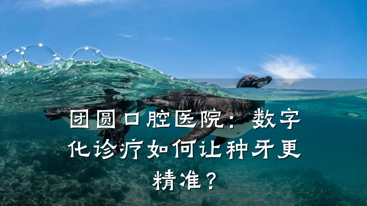 团圆口腔医院:数字化诊疗如何让种牙更精准?