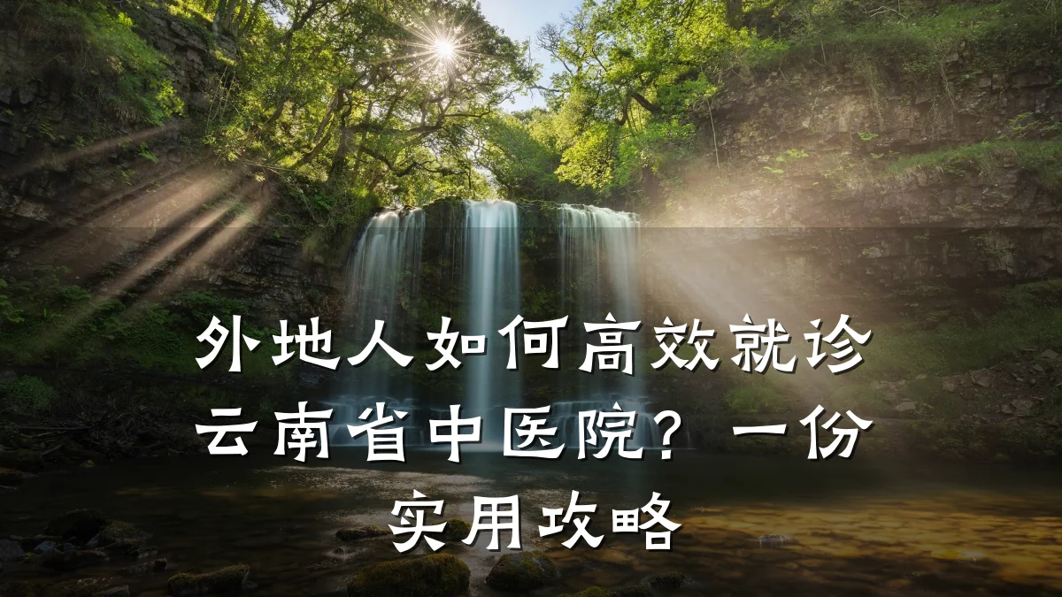 外地人如何高效就诊云南省中医院?一份实用攻略