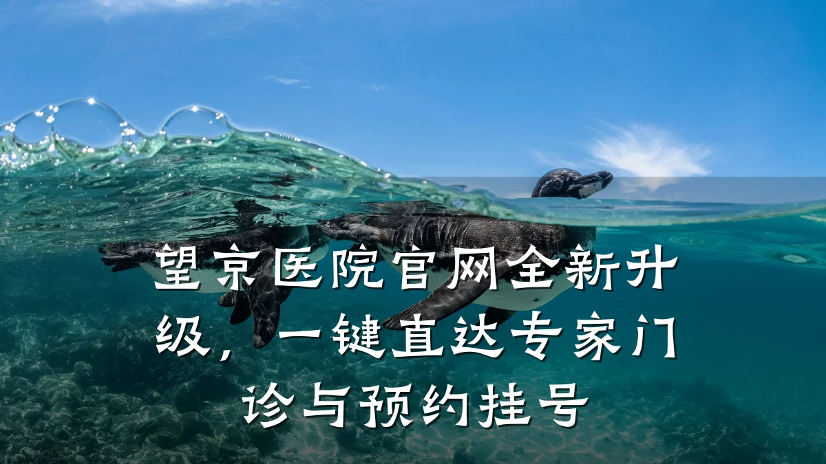 望京医院官网全新升级,一键直达专家门诊与预约挂号