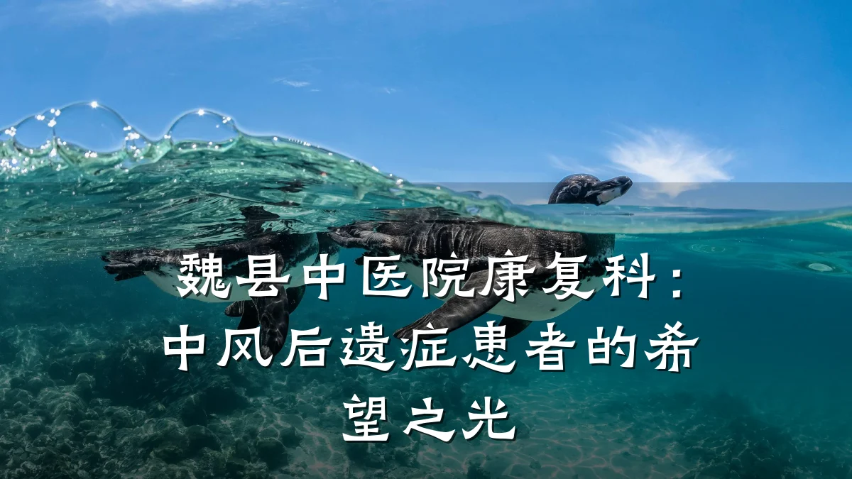 魏县中医院康复科：中风后遗症患者的希望之光