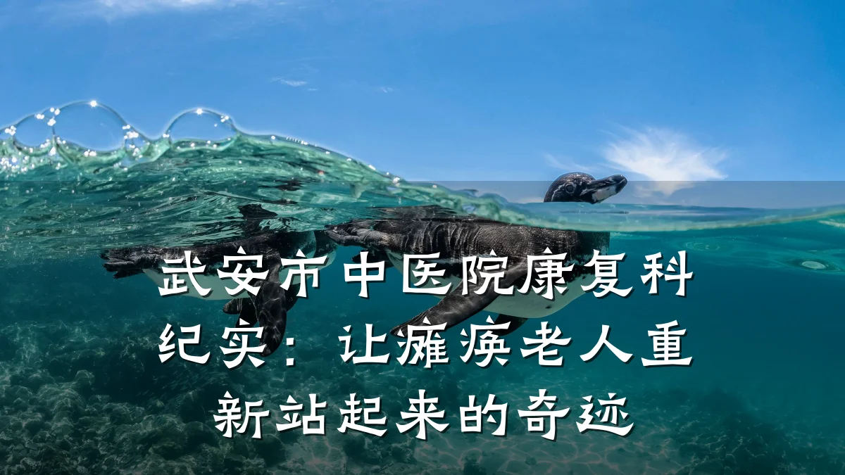 武安市中医院康复科纪实:让瘫痪老人重新站起来的奇迹