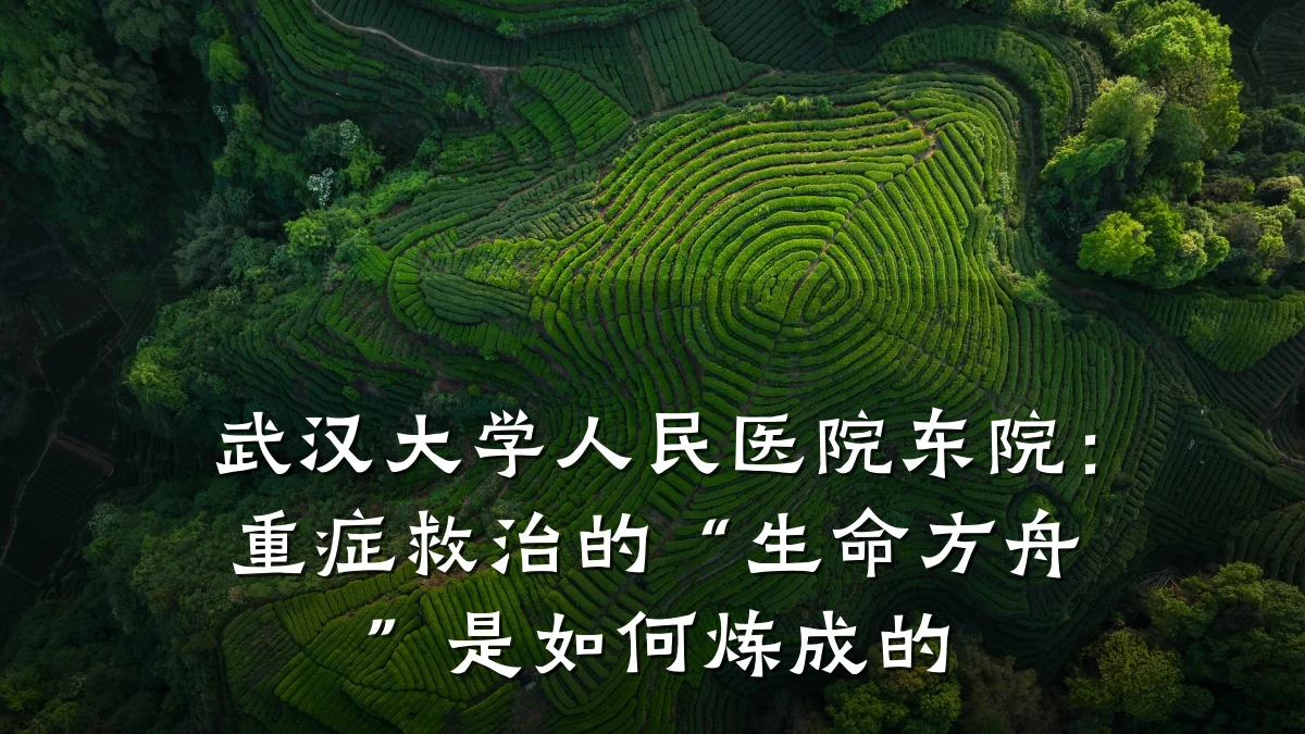 武汉大学人民医院东院：重症救治的“生命方舟”是如何炼成的