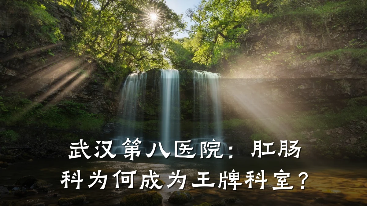 武汉第八医院:肛肠科为何成为王牌科室?