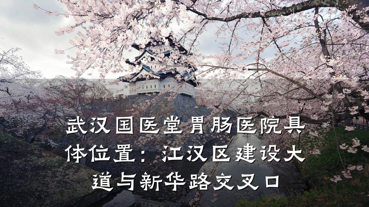 武汉国医堂胃肠医院具体位置：江汉区建设大道与新华路交叉口