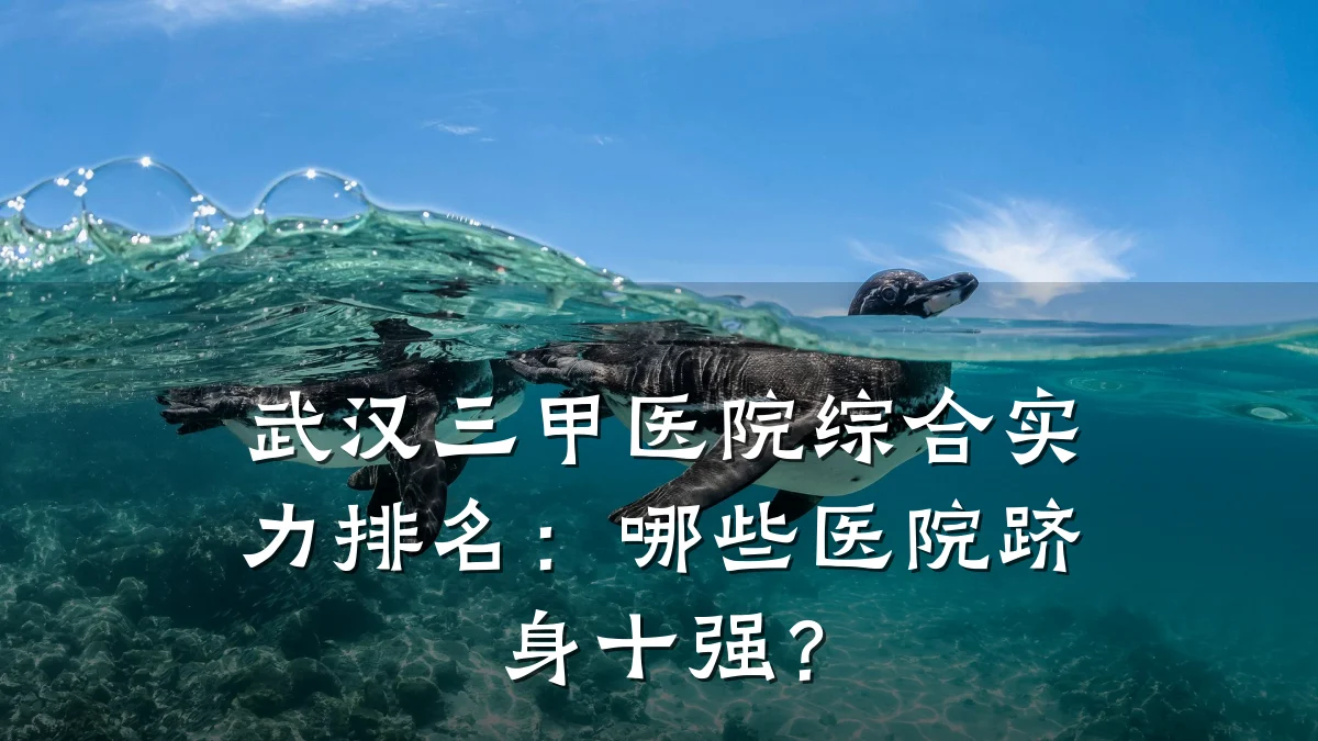 武汉三甲医院综合实力排名:哪些医院跻身十强?