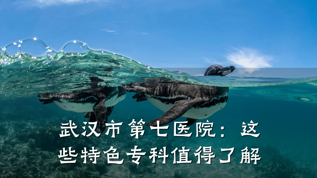 武汉市第七医院:这些特色专科值得了解